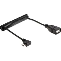 DeLOCK Câble spiralé USB 2.0 (0.50 m, USB 2.0)
