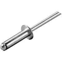 Oem Marine Stainless Steel Rivet 100 Units Argenté 4.8 x 16 mm