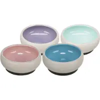 Trixie Mangeoire pour chiens Ø 17 cm 1 L (100 cl)