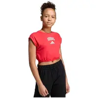 Adidas Seasonals Collegiate Typography Short Sleeve T-shirt Rouge 11-12 Years Filles