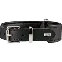 Hunter Basic (Chien, Général)