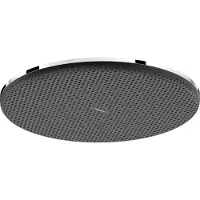 Hansgrohe Raindance Alive S Douche de tête 300 1jet EcoSmart, 24521000