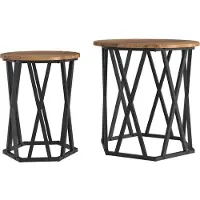 vidaXL Table basse, lot de 2, bois recyclé, style industriel, bois et acier