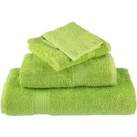 vidaXL Serviettes de toilette Premium SOLUND 2 pièces Vert pomme 30 x 30 cm 600 g/m²