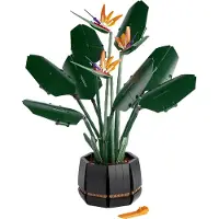LEGO Botanicals - Creator - L'oiseau de paradis - 10289
