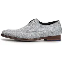 Floris van Bommel Chaussure à lacets 'DE STIJLER 20' gris clair / blanc