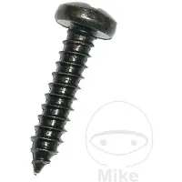 Dresselhaus 6040/051 4.2 X 19 Mm Screw Kit Argenté