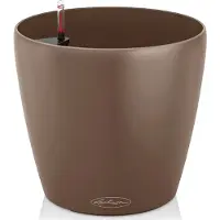 Lechuza Classico Color (21.50 x 20.50 cm)