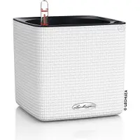Lechuza Cube Color 16 - Kit Complet, Blanc 16 Cm