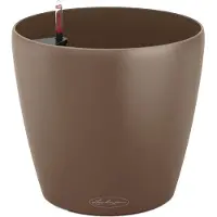 Lechuza Classico Color (34.50 x 32.50 cm)