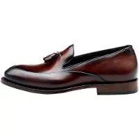 Lloyd Chaussure basse 'APEX 250GY' brun foncé