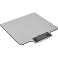 Taylor Typscale10hp 10kg Kitchen Scale Argenté,Clair One Size / EU Plug 220V