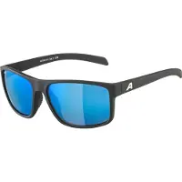Alpina Lunettes de soleil Nacan I P