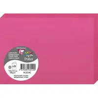 Pollen Clairefontaine Pollen - Papier - rose intense - 110 x 155 mm - 210 g/m² - 25 carte(s) cartes pliées en deux