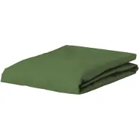 Essenza Drap-Housse Essenza Premium Moss (Percale)-180 x 210 cm