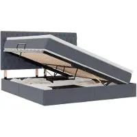vidaXL Lit de rangement avec matelas gris foncé 160 x 200 cm velours