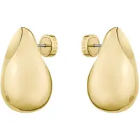 BOSS 1580824 Earrings Doré Femme