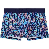 Hom Boxer