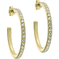Ted Baker Boucles d'oreilles 'CLANCI' or