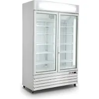 Saro Réfrigérateur à 2 portes vitrées, blanc, modèle G 885