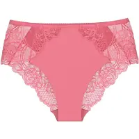 Triumph Slip ' Wild Peony Florale ' rose