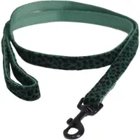 Kentucky Laisse Pour Chien Leopard