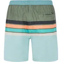 Protest Avik Swimming Shorts Vert S Homme