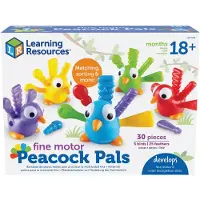 Learning Resources LER9095