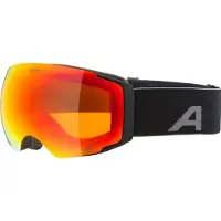 Alpina Masque de ski