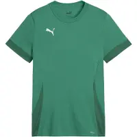 Puma T-Shirt fonctionnel roseau / vert foncé / blanc