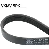 Skf VKMV 5PK1150 Multiriem