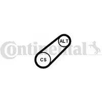 CONTITECH Courroie trapézoïdale à nervures CONTINENTAL 6PK799 ELAST