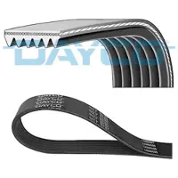 DAYCO 6PK1030 Multiriem