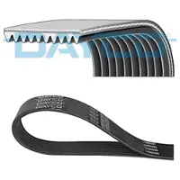 DAYCO Courroie trapézoïdale à nervures 10PK1240KHD