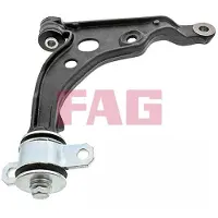 Fag Bras de suspension, suspension 821 0810 10