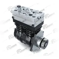 VADEN 1100 250 001 Compressor voor de luchtvering