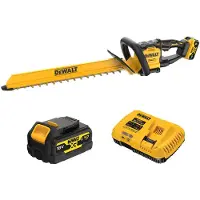DeWalt Taille-haie sans fil DCMHT567P1-QW
