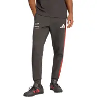 Adidas Pantalon de sport 'Audi Formula One Team DNA' gris foncé / rouge / blanc