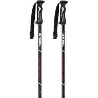 Gabel Spedd Poles Argenté 130 cm