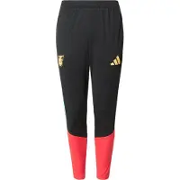 Adidas Pantalon de sport 'Jamaika 26 x Bob Marley Tiro' jaune / sapin / rouge / noir