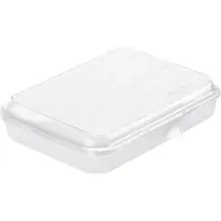 Rotho Boîte à lunch - - FUN - 0,75 l - Fermeture à clip - Polyvalente (repas &amp; rangement) - Vert