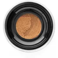 Danessa Myricks Beauty Evolution Powder poudre libre teinte 2.5 - Translucent Tan 11 g