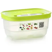 Tupperware Boîte de conservation FridgeSmart 0,38 L - Aération / Couvercle coulissant - Multi
