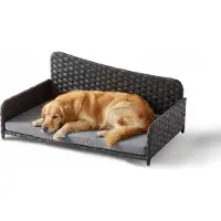 Relaxdays Lit pour chien en rotin, XL, dimensions : 38 x 87 x 49 cm, couchage surélevé avec coussin, canapé pour chien, pour l'extérieur et l'intérieur, gris