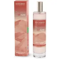 Esteban Parfum d'intérieur Vaporisateur Terre d'Ocre Karite 75 ml