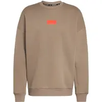 Adidas Sweat de sport 'Audi Formula One Team' brocart / anthracite / rouge