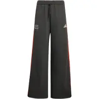 Adidas Pantalon de sport 'Audi Formula One Team DNA' gris foncé / homard / blanc