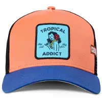 Coastal Casquette 'Tropical Addict' bleu clair / bleu foncé / abricot / noir