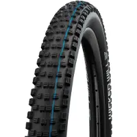 Schwalbe Wicked Will - TLR - ADDIX - Performance - 29x2.40 - Noir