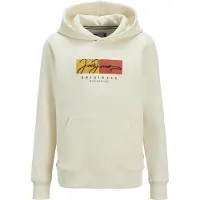Jack & Jones Frederiksberg Box Hoodie Beige 14 Years Garçon